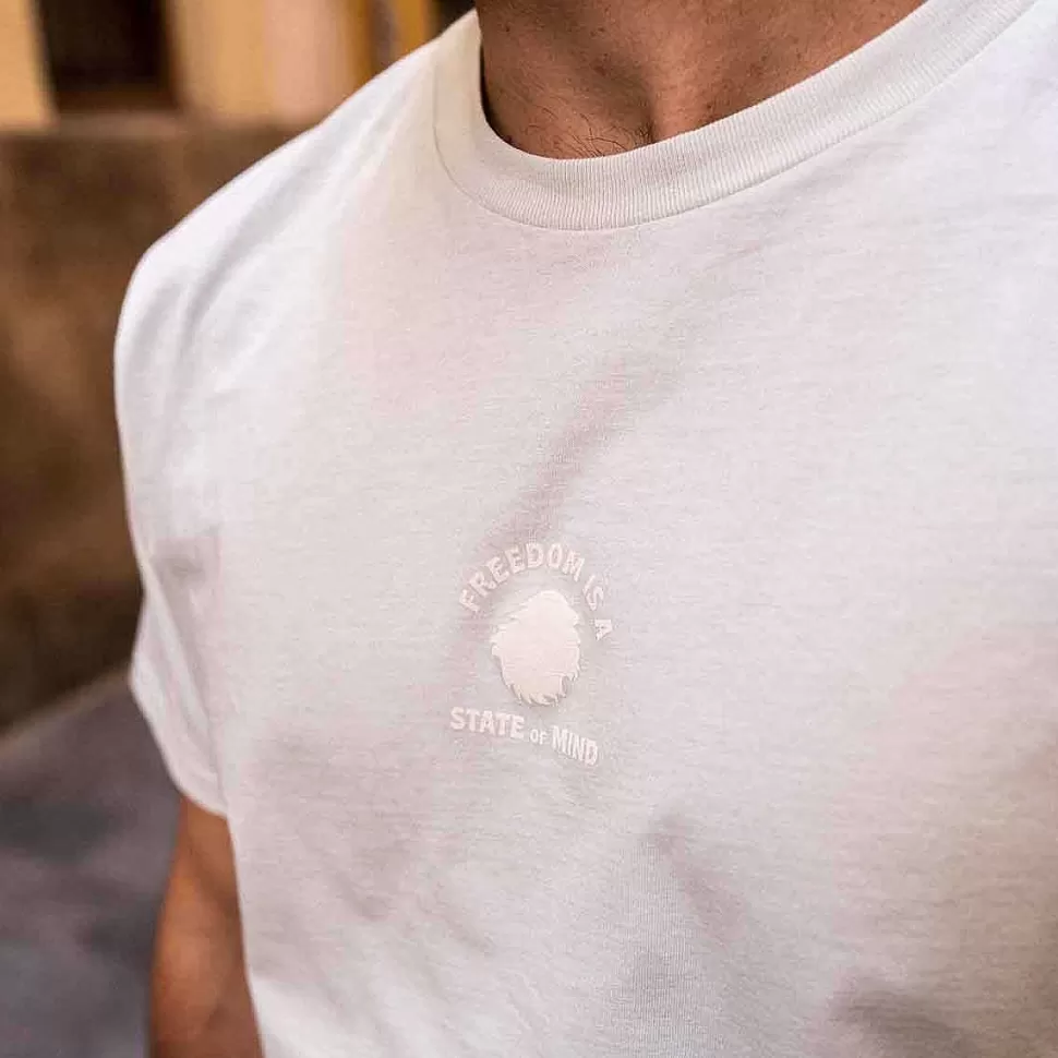 T-Shirt In Cotone Biologico Vestibilita Regolare | Stato Cristallino Della Liberta Verde>Satorisan Fashion